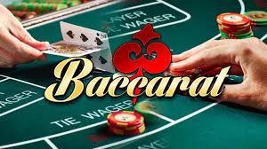 Master Baccarat with the Card Counting App in Superace for Smarter Betting